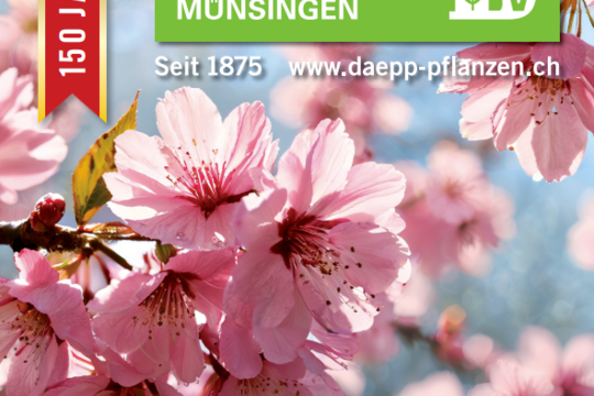 Frühlingserwachen 2025_Flyer.png