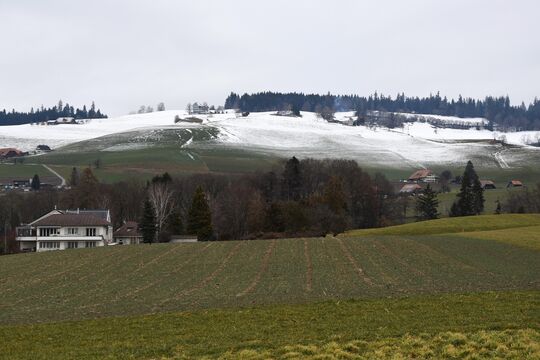 Bild Wo bleibt der Schnee?