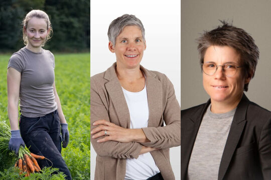 Bild &laquo;Ich habe einfach Vollgas gegeben&raquo;