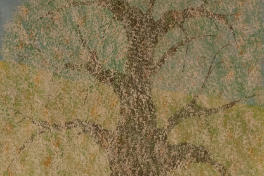 6fd73704f3d5b6d4f0c8282116f698a5.jpg