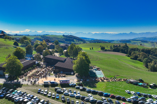 DJI_0814