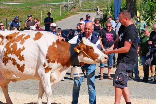 PANA3082