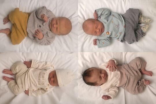 Bild Vier Neugeborene in der Region