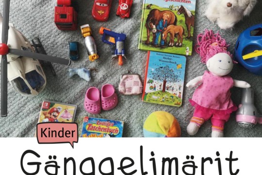 FY_Gaenggelimaerit_2021_1.jpg