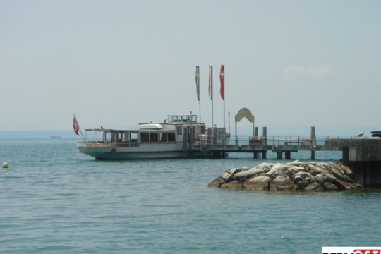 71bf50f4a86fd7c679d7ee85d00006b3.jpg