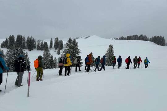 Bild ZAK-Wanderung ins verschneite Nebelhochland