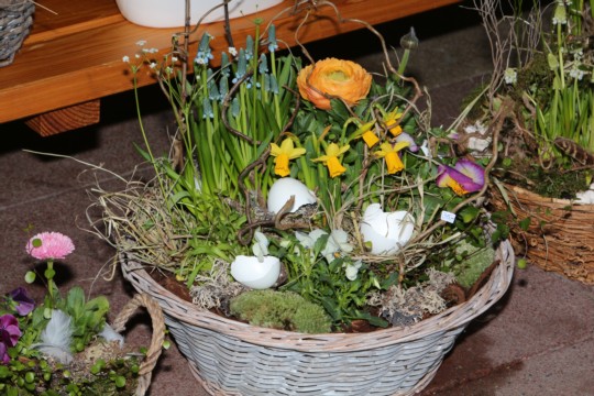 202306Apr_1087