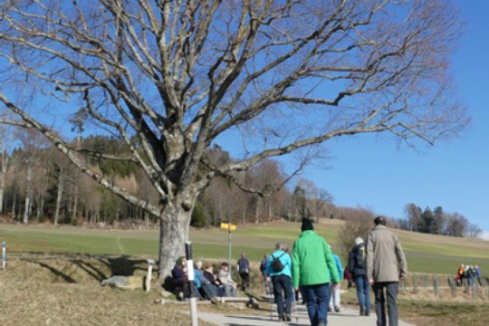 bild1
