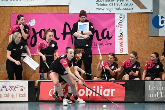 WhatsApp Image 2025-03-17 at 18.23.22 (1).jpeg