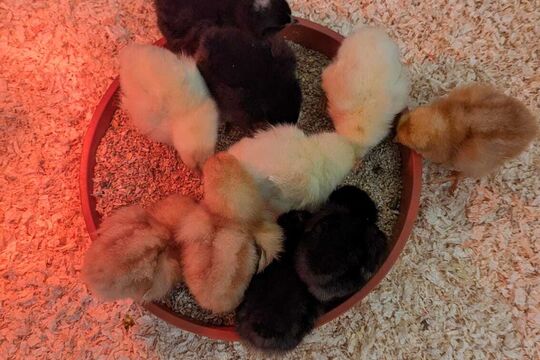 WhatsApp Bild 2025-04-16 um 15.26.07_0d1276dc