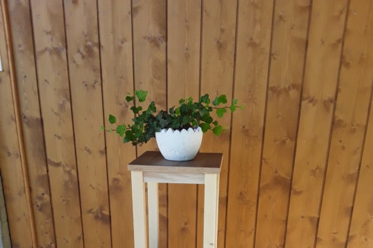 20200805_094705.jpg