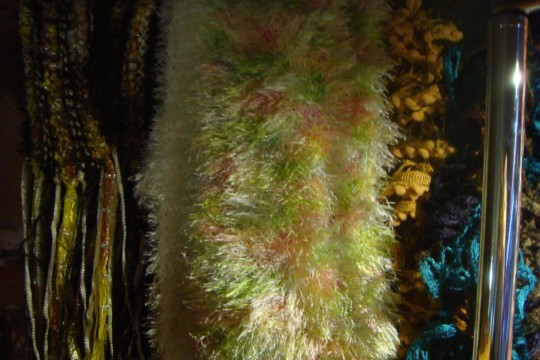 DSC05596.jpg