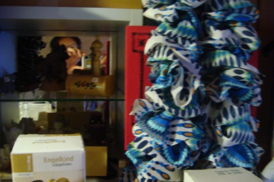 DSC05598.jpg