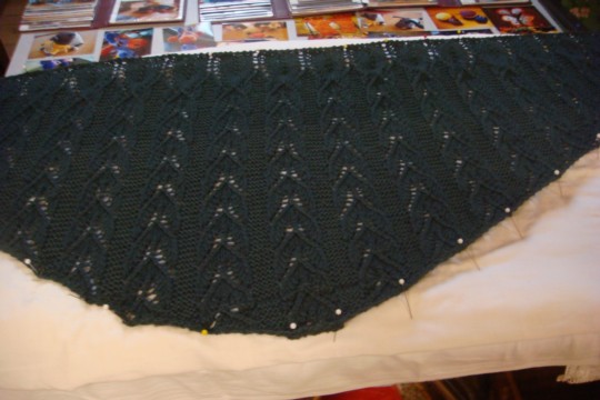 DSC05602.jpg