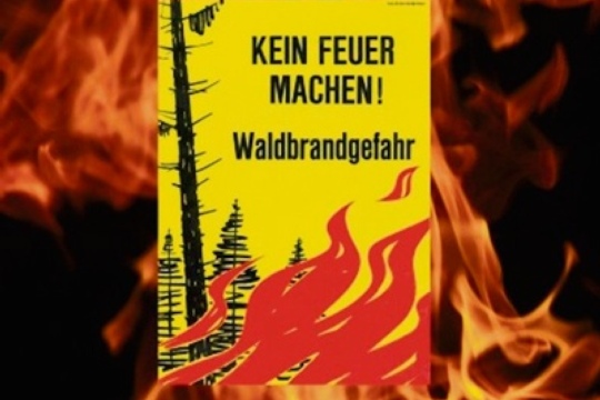 754b3ed0c592377df8f06aac945eb604.jpg