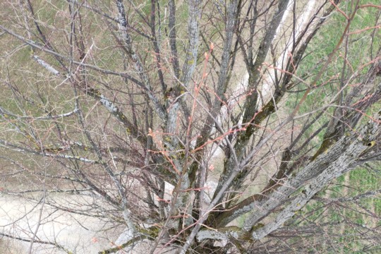 bild1