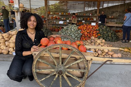 Bild K&uuml;rbismarkt auf dem Brunnenhof Oppligen
