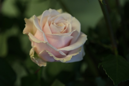 75baf6a06a850c798819c1b137ab01ca.jpg
