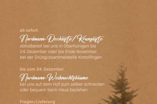 Insta_Adventsflyer2023_Krähenbühl_RZ_3.jpg