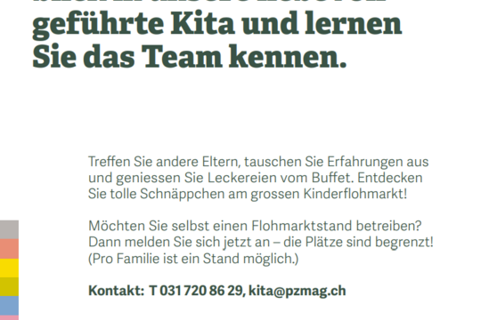 Flyer_hinten.png