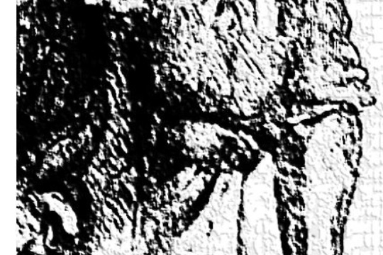 76c92f3aebadfe400d21a20405865289.jpg