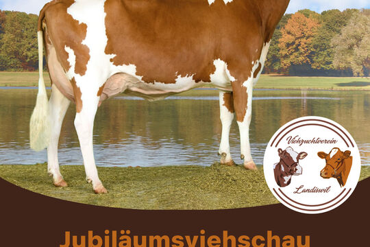 2026_Flyer_Jubil&auml;umsviehschau_75_Jahre_VZV_Landiswil_NEU_ANSICHT1.jpg