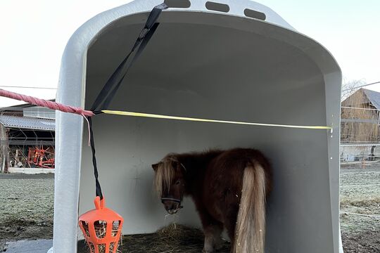 IMG_4596.jpg