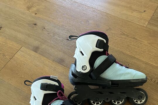 IMG_3383.jpeg