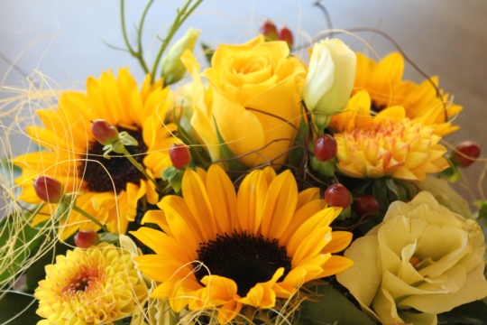 79b16177be03f537a394ebd866d83601.jpg