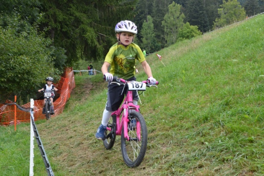 79bde13581494ebce5adcb067d78932f.jpg