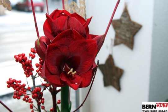 7a02a2ebd52dc33897d382c5105c81bd.jpg