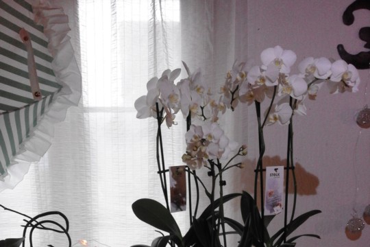 20181116_093030.jpg