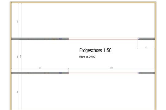 Grundriss Schnitt-0002.jpg
