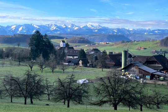 Bild Von tiefen Steuern und wenig Platznot