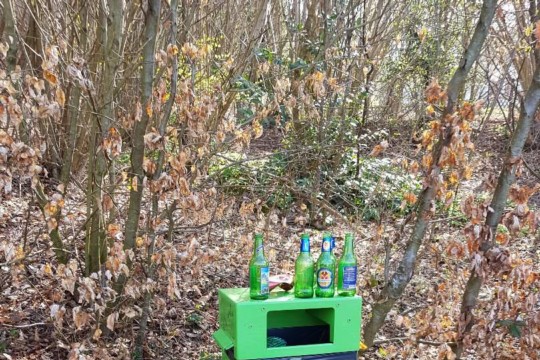 wald2