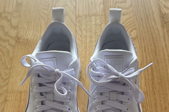 IMG_7977.jpeg