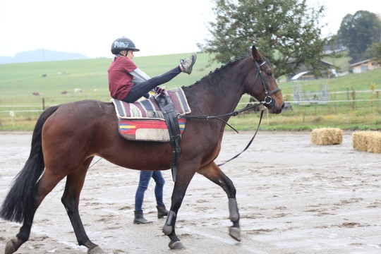 GB5T5831