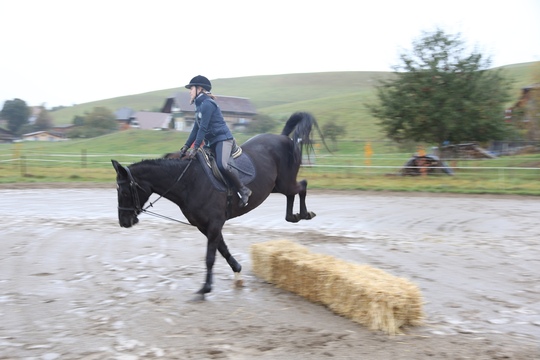 GB5T5931