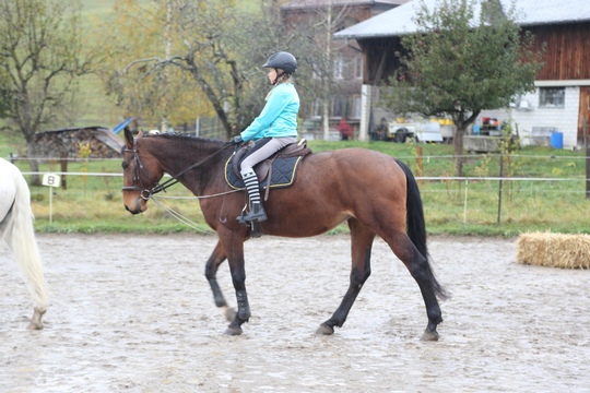GB5T5986
