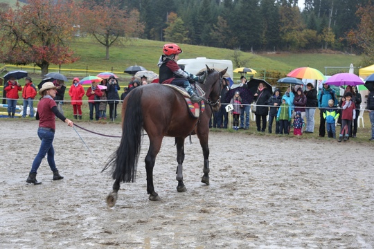 GB5T6008