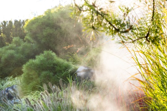 Glowing Grass 4