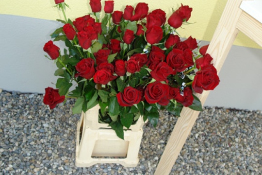 7b3fe424ff761bc72b02b5dda0aeba9b.jpg