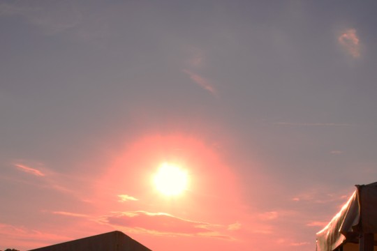 P1010233