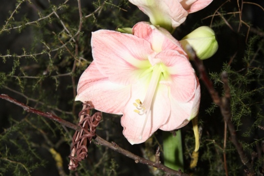 7be82e9b9a059ec281b2ec903163bbe6.jpg