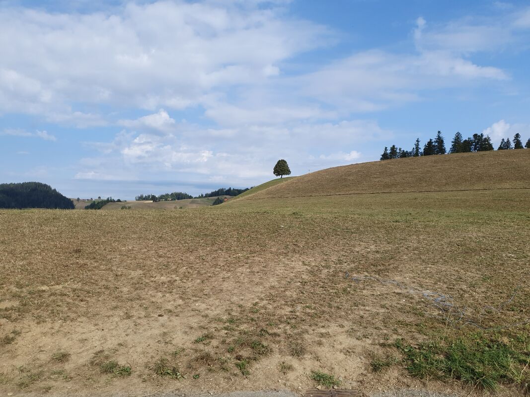 image 1003116