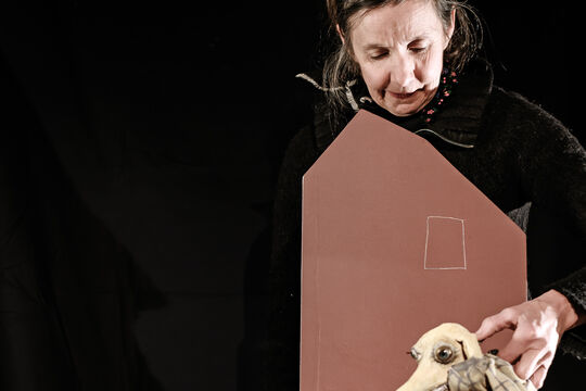 Pozor_Lupine_Joel Schweizer_4.jpg