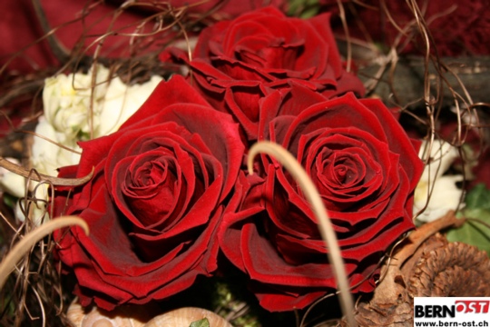 7cb7ec0daf0e7e754852b63f0eefee60.jpg