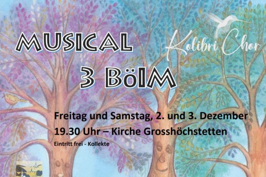 Musical 3Böim_Einladung Konzerte jpg.jpg