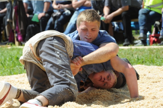7ce0db3834bef3ab02afdea0cd811aee.jpg