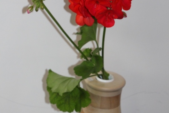 7cfb1c4d7af995ddc5cf39b2642736e1.jpg